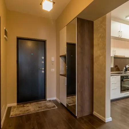 Modern Downtown Apartment