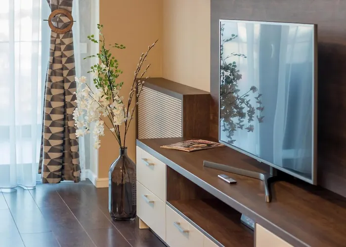 Apartman Modern Downtown